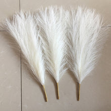 Load image into Gallery viewer, Pampas Fizz Sticks
