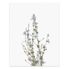 Cargar imagen en el visor de la galería, Arte mural de flores silvestres
