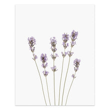 Cargar imagen en el visor de la galería, Arte mural de flores silvestres
