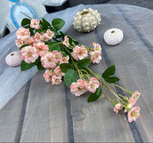 Load image into Gallery viewer, Springtime Mini Roses

