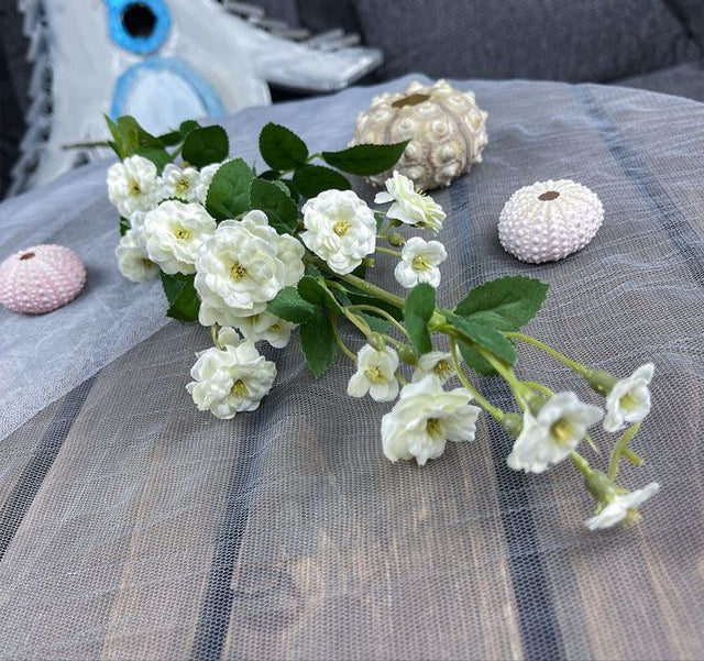 Springtime Mini Roses