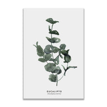 Cargar imagen en el visor de la galería, Arte mural de plantas en acuarela
