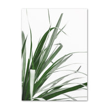 Load image into Gallery viewer, Copses Sage Wall Art
