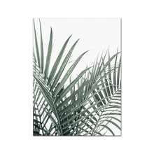 Load image into Gallery viewer, Palm Grove Wall Art
