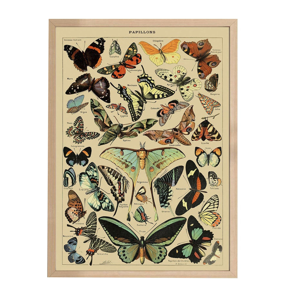 Papillons Wall Art