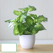Load image into Gallery viewer, Perpetual Pathos Plants
